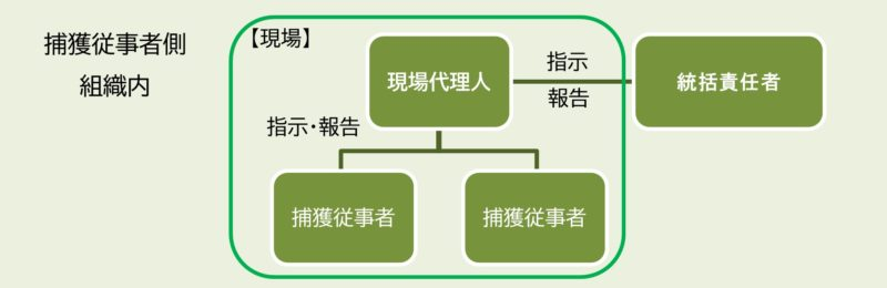 捕獲の体制