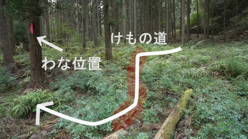 設置イメージ