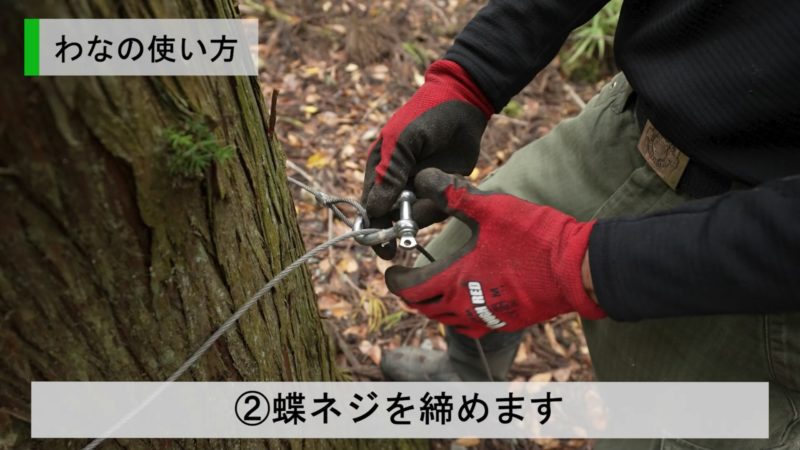 固定
