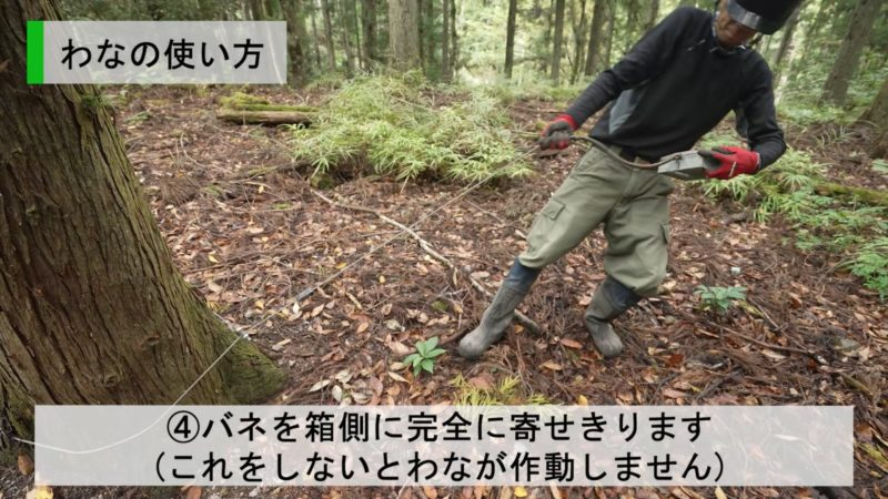 ばね引き