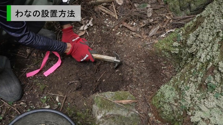 穴掘り