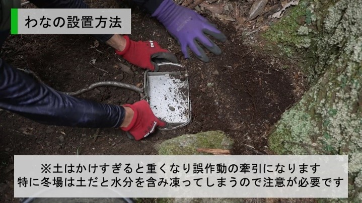 周り固め