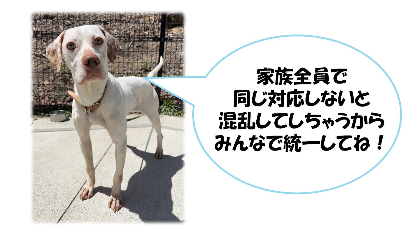 ロゼ２