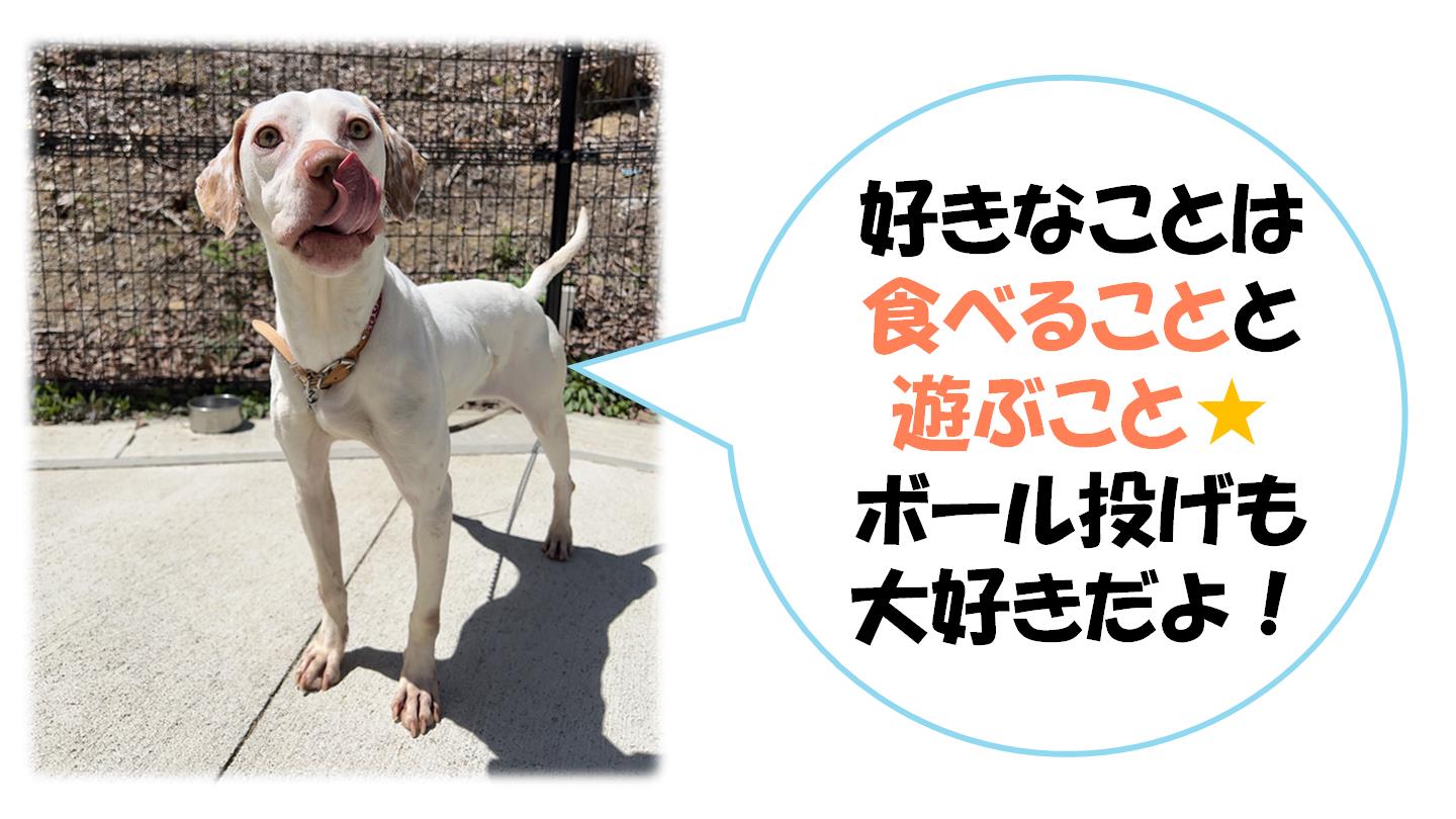 ロゼ３