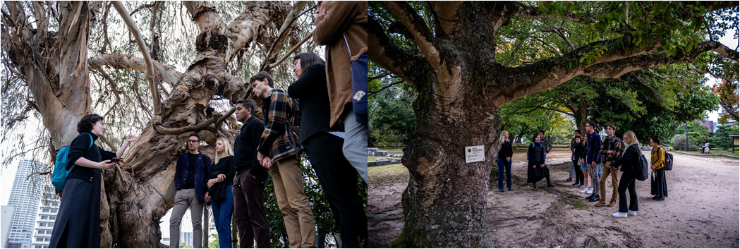 Participants listen to an explanation about the A-bombed trees in Hiroshima Castle Park