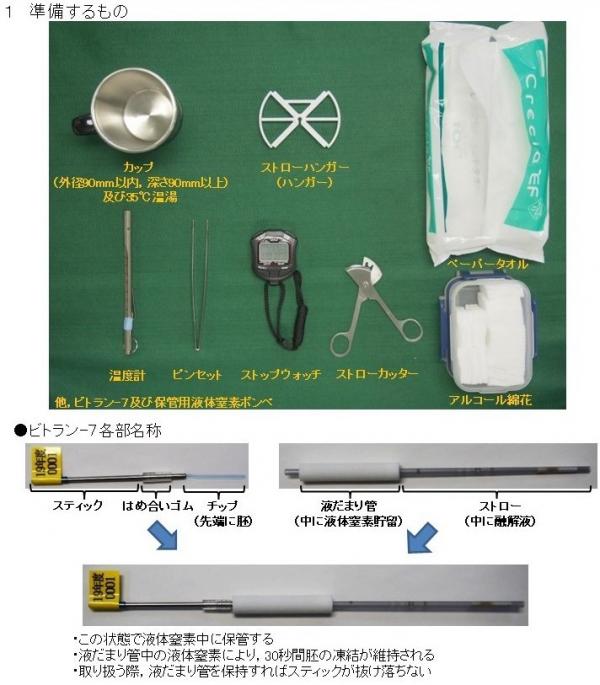 ビトラン７受精卵の融解前に準備するもの