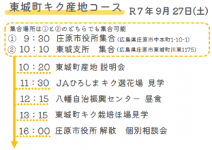 スケジュール
