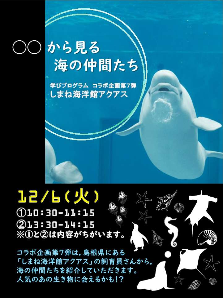 ○○から見る海の仲間たち