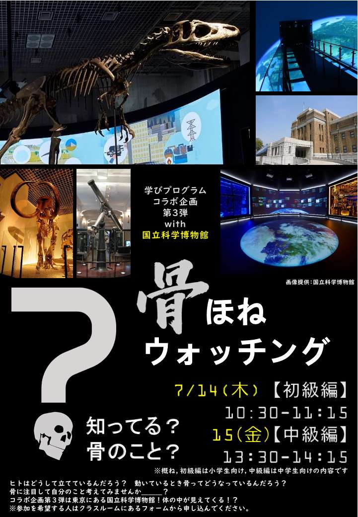 骨ほねウォッチング