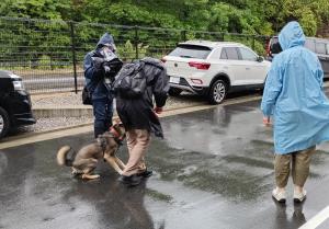 避難