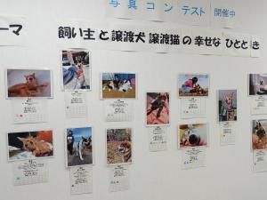 写真コンテスト