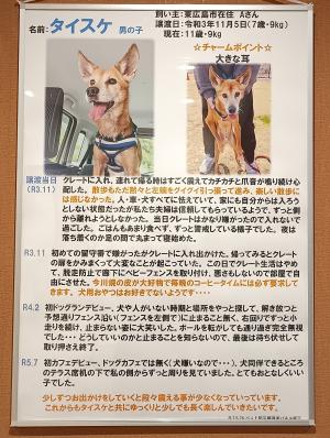 パネル２