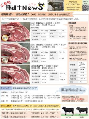 種雄牛ニュース