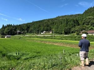 オペ