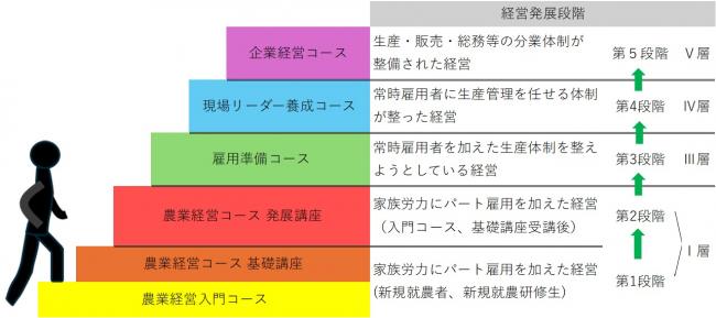 発展段階図