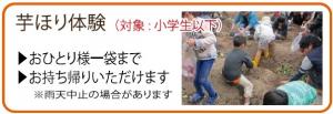 芋ほり体験