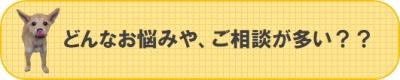 どんなお悩みや、ご相談が多い？