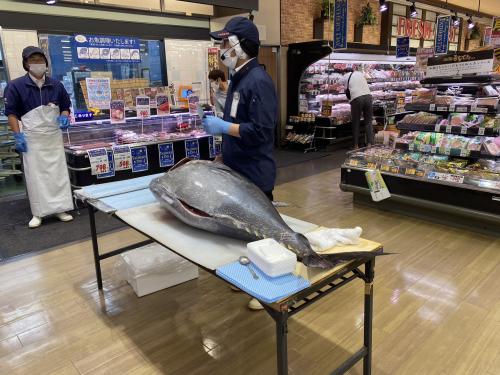 店内のマグロ解体ショー