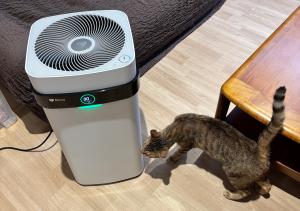 空気清浄機と猫１