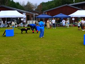 災害救助犬デモ
