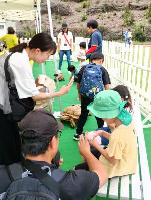 ふれあい動物園2