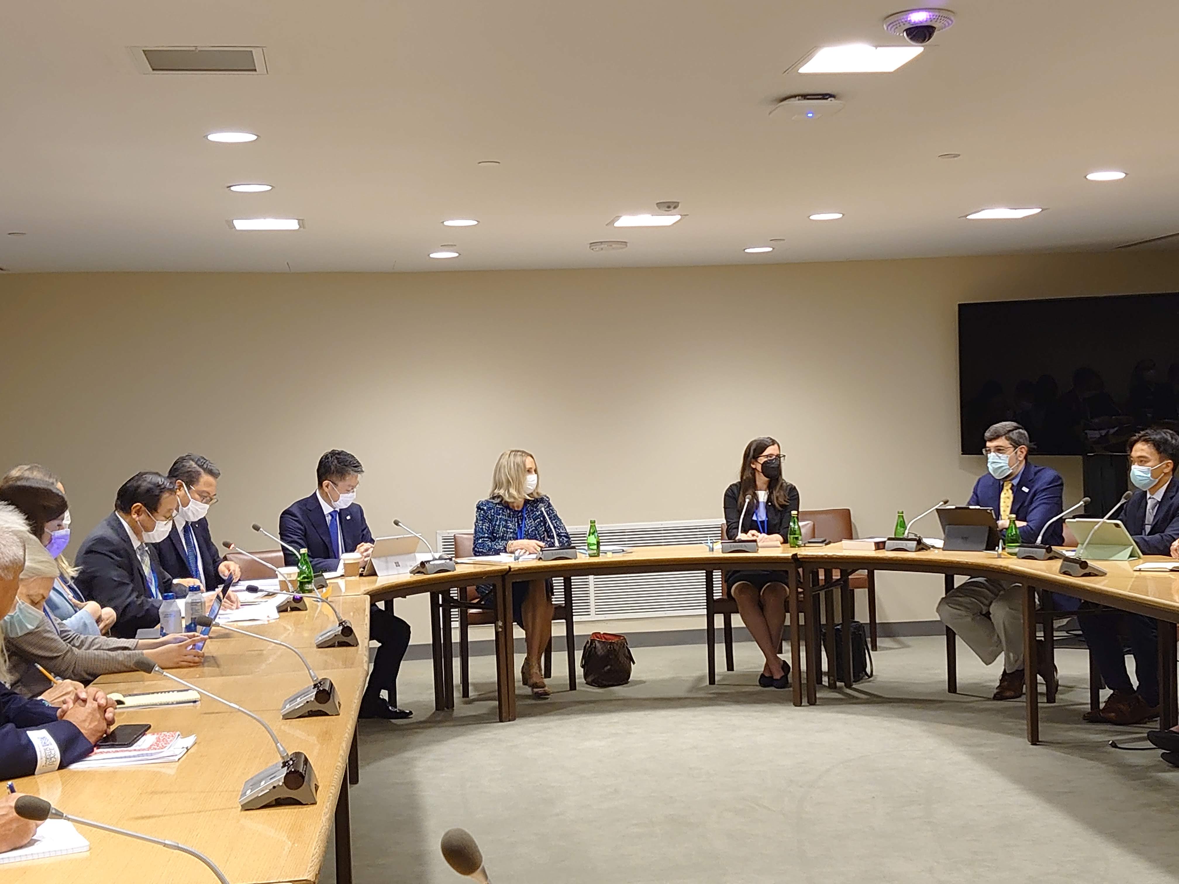 ＮＰＴ運用検討会議