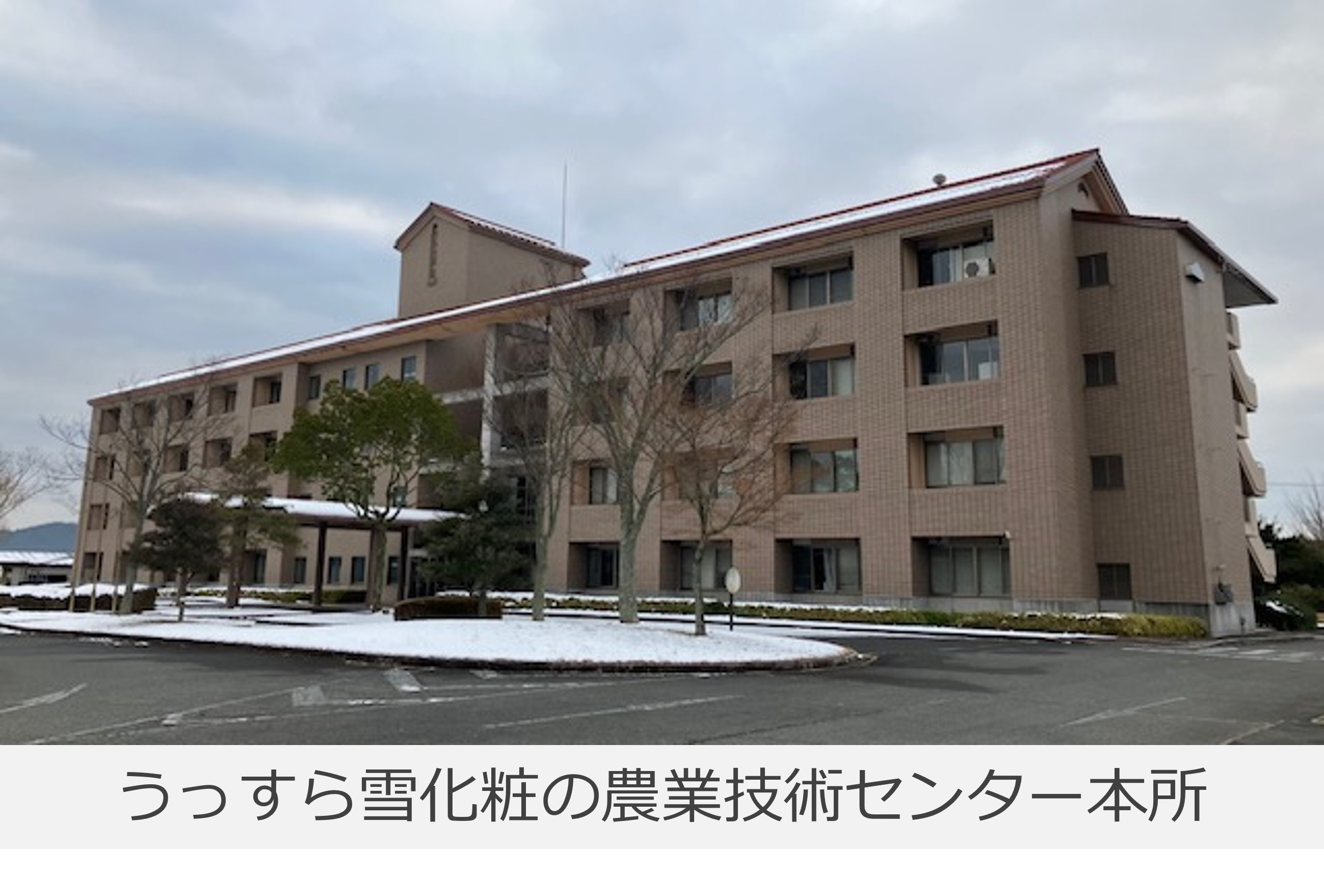 雪化粧のセンター本所の写真