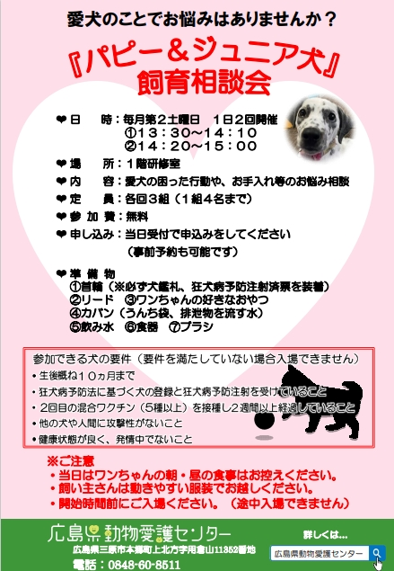 パピー＆ジュニア犬