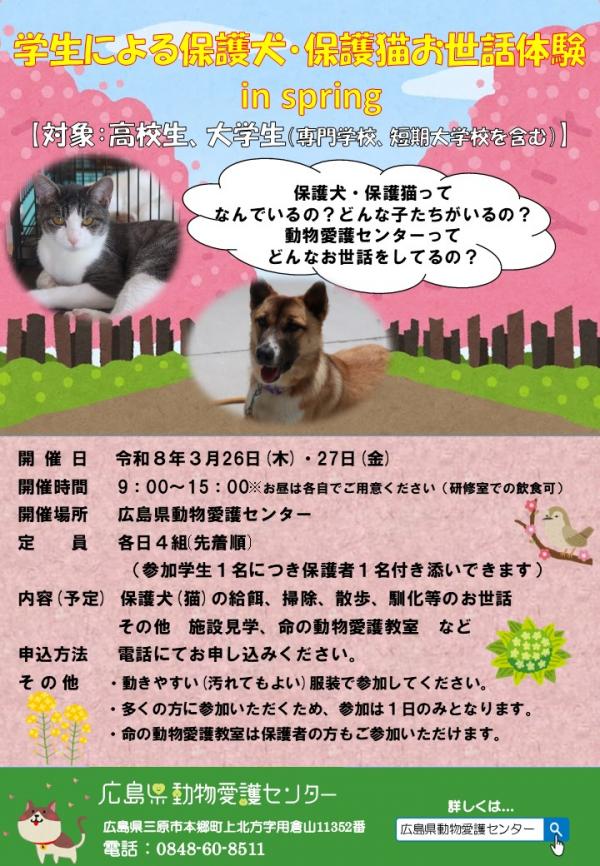 高校大学生の部リーフレット