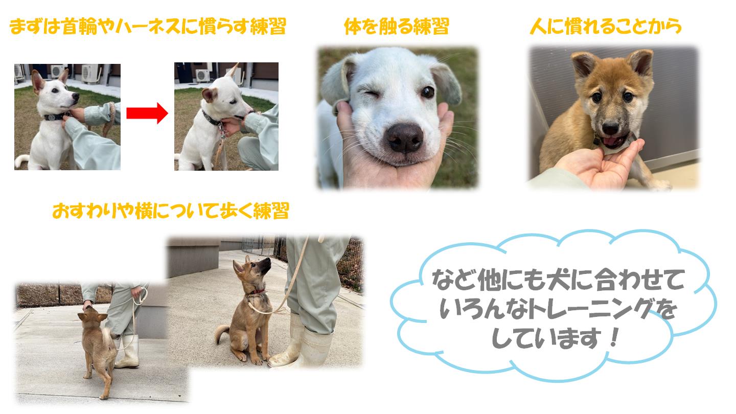 ④