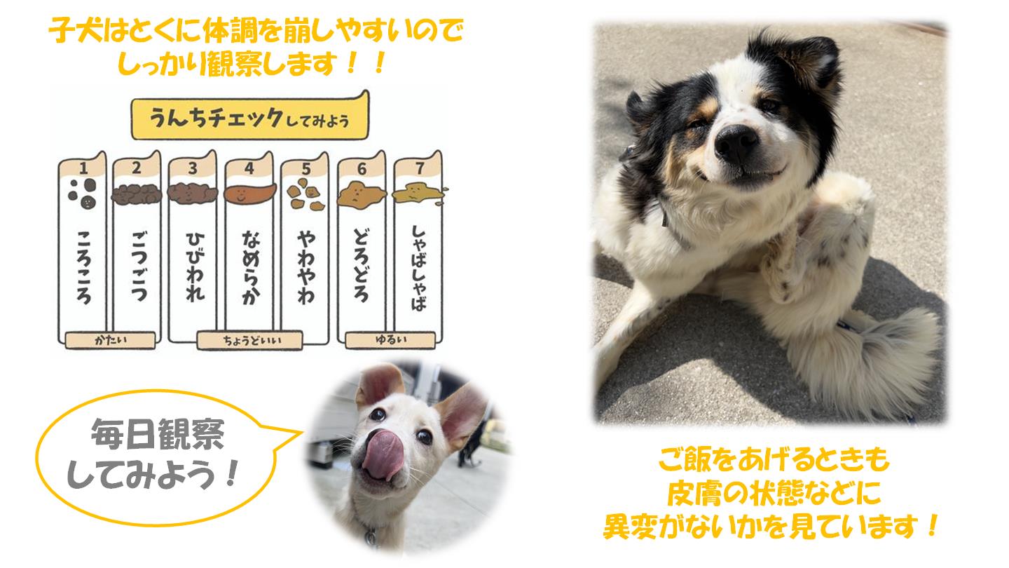 ⑤