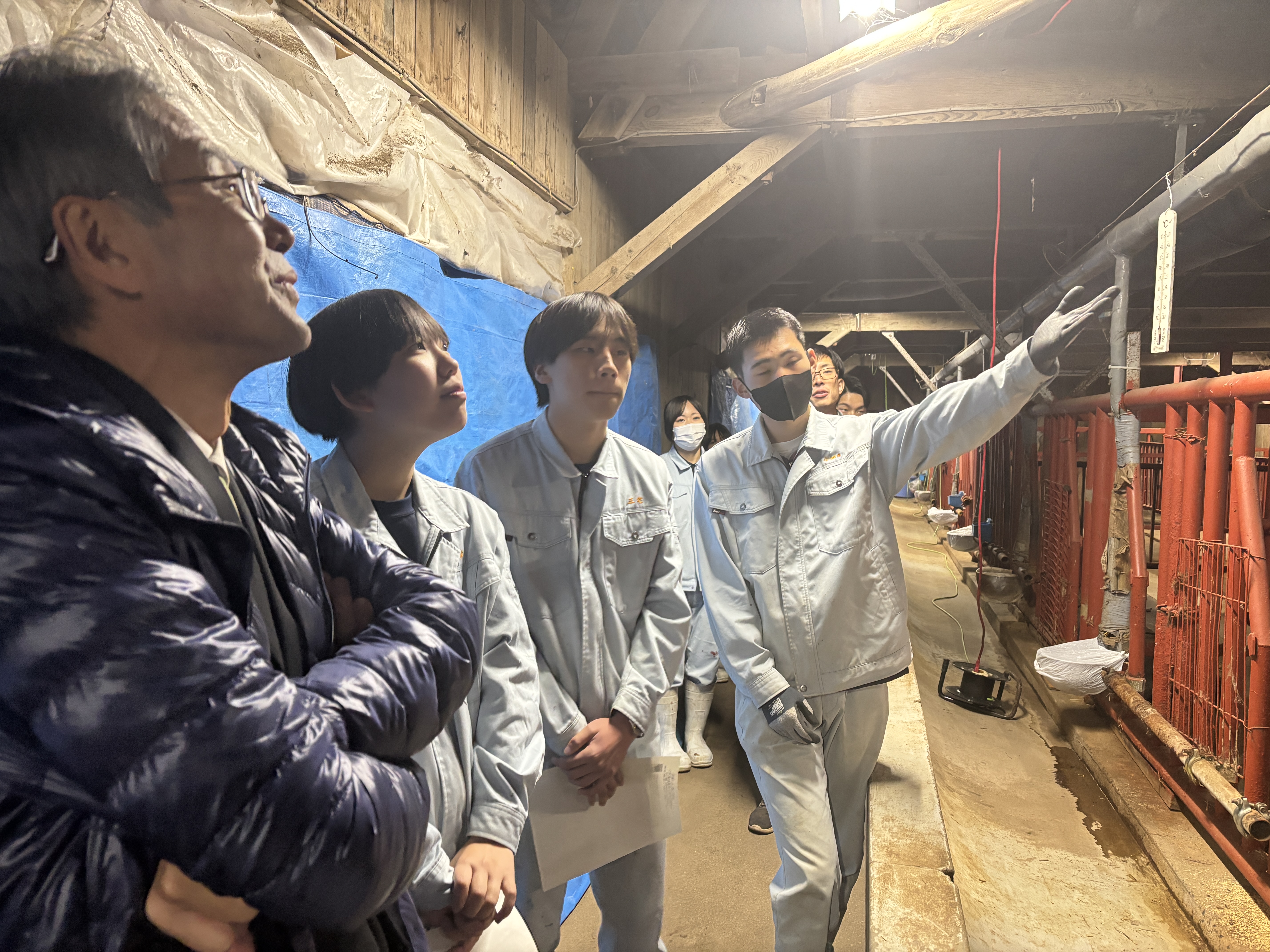 牛舎の中で河田委員に説明をする畜産班生徒