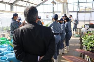 ビニールハウス内の作業見学