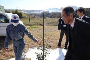 みかん畑の説明を受ける河田委員
