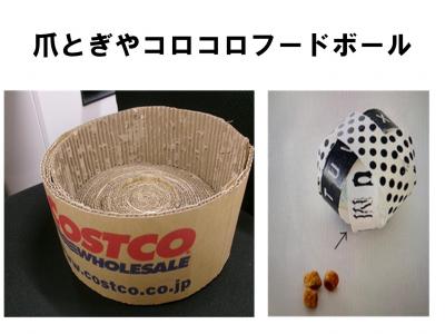 にゃんこセミナー