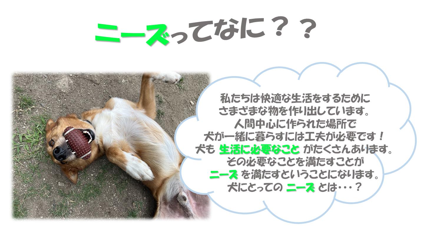 １