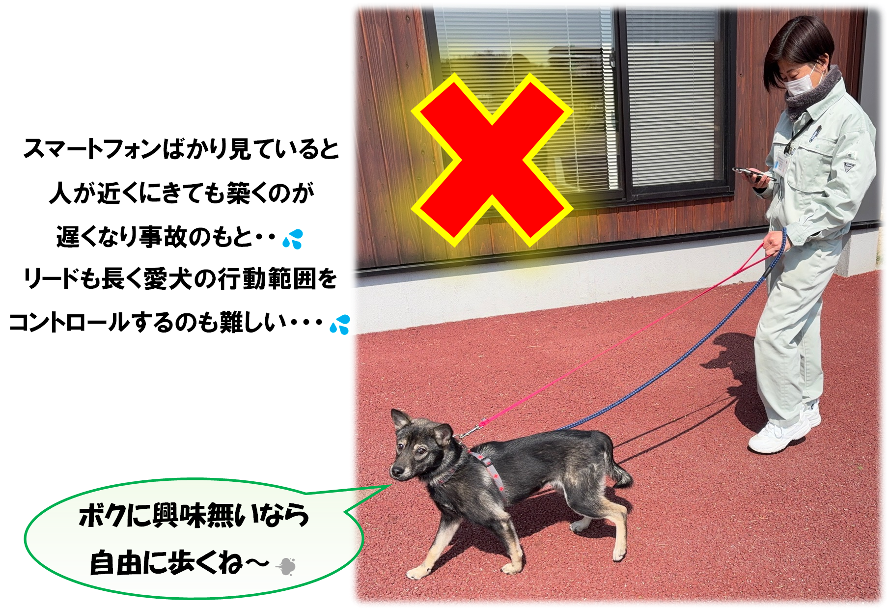 リードのマナー2