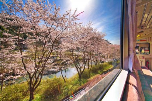 二連原桜並木