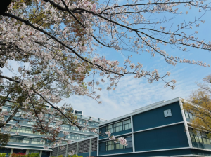 県庁前写真