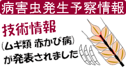 技術情報