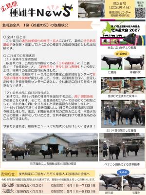 種雄牛News