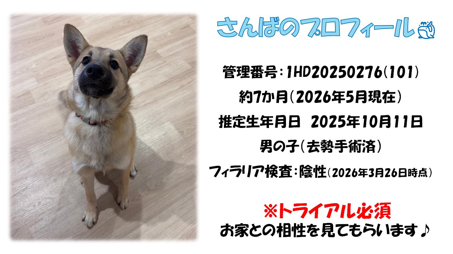 さんば