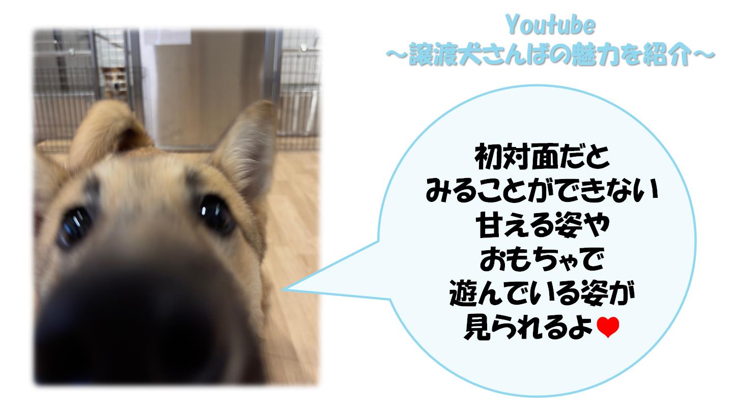 さんば４