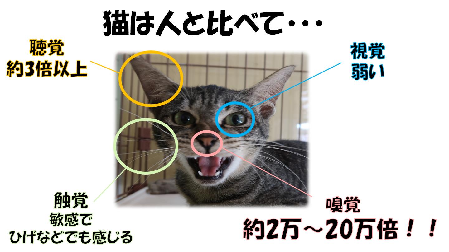 ４