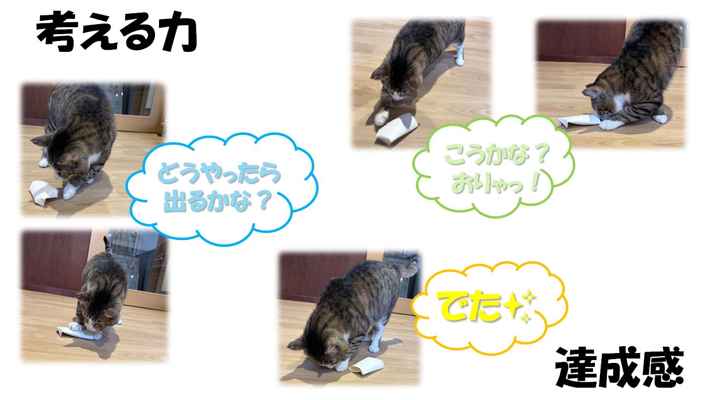 ５