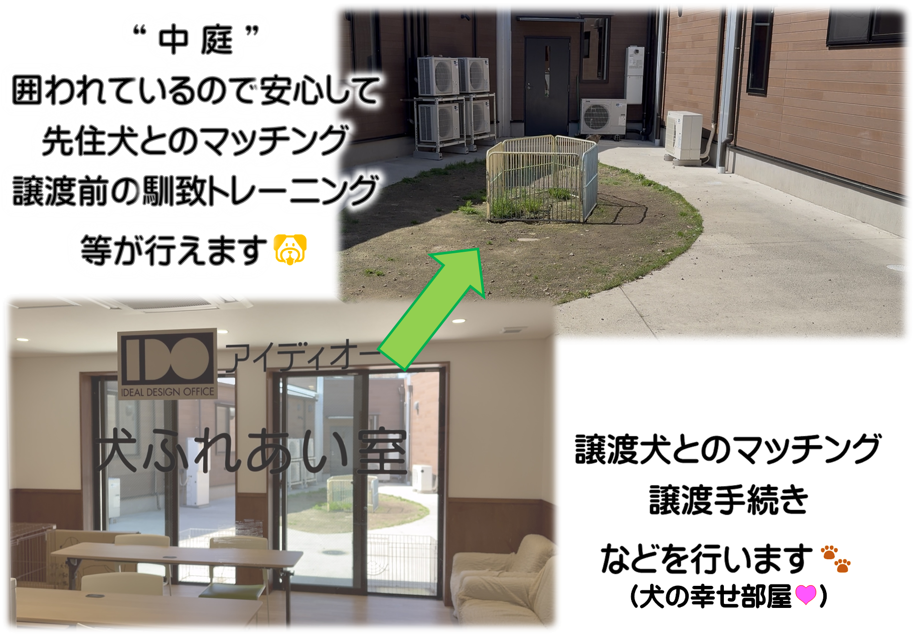 犬ふれあい室