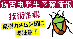 果樹カメムシ類技術情報バナー