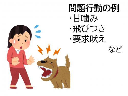 問題行動の例