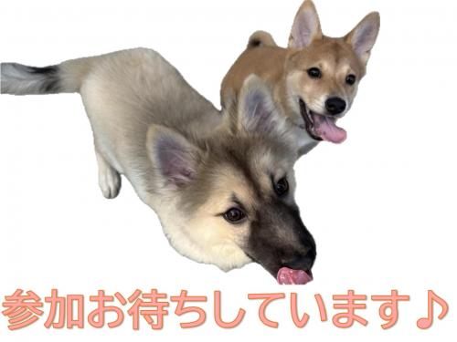 参加お待ちしています