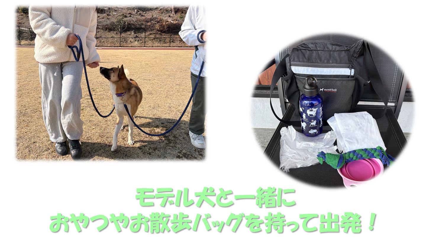 お散歩体験２